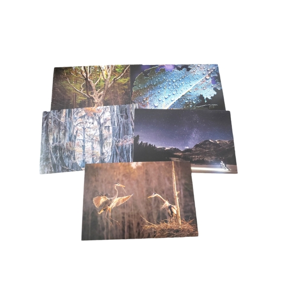 ☕ Nature Greeting Cards set of 5 - Picture 1 of 12